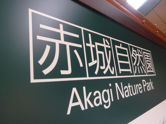 �Ŕł��B_�ԏ鎩�R��