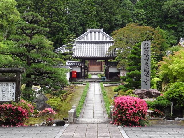 大池寺(蓬莱庭園)】アクセス・営業時間・料金情報 - じゃらんnet