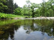 ΂񂳂̑匹LjI̓eʐ^1