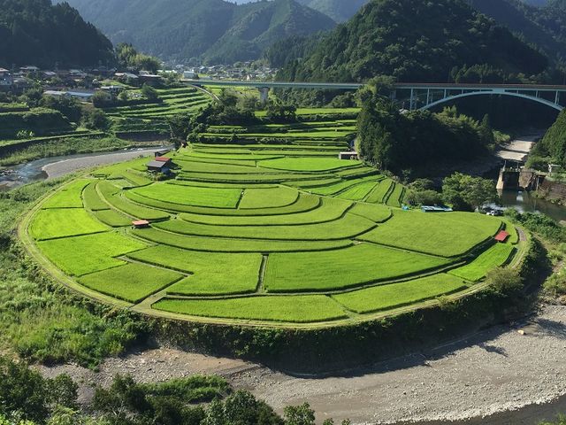 終戦記念日2_あらぎ島