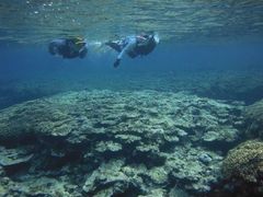 Ryôɂ̂ȐΊ_ւ̓eʐ^1