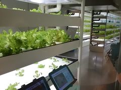 �ɓ����@����{�X�̎ʐ^2