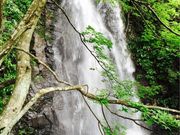 Vg̋Pi򕌌Ssj̓eʐ^1