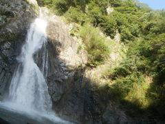 �z���̑�̎ʐ^1