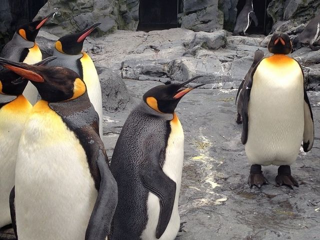 �y���M���A�A�������`_���R������