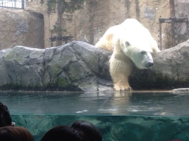 ��э���10�b�O_���R������