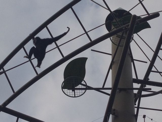 �����ȍj�n��_���R������