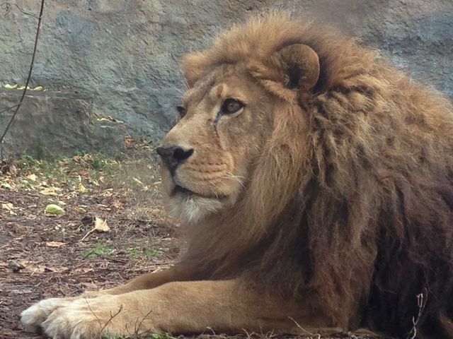 ����s���Ⴀ��܂���A���A���S�b�̉�_���R������