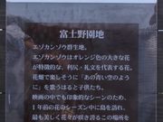 Ƃ񂳂̃|VC݂̓eʐ^2