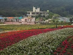 �f�����������i�����ρj�̎ʐ^2