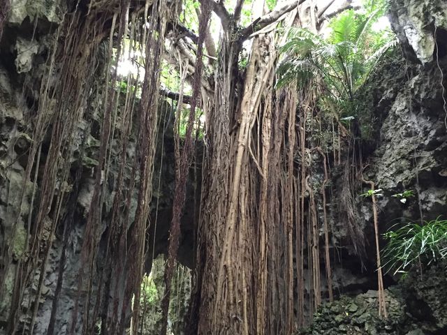 �K�W���}��_�K���K���[�̒J