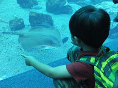 bR̐䂤݂̓mقւ̓eʐ^1