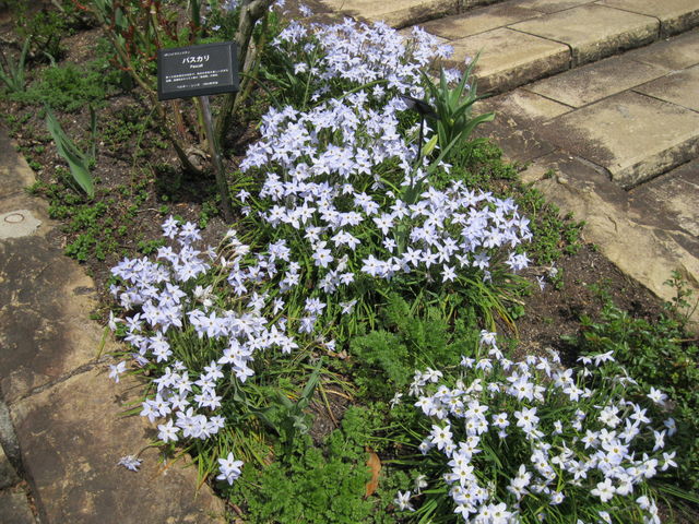 ЂȂ̐{skRΉA̓eʐ^1