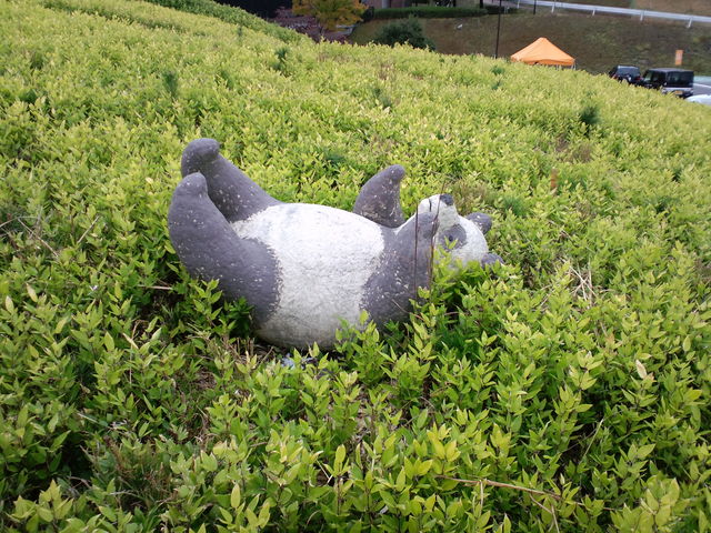 ���ꌧ�����|�̐X