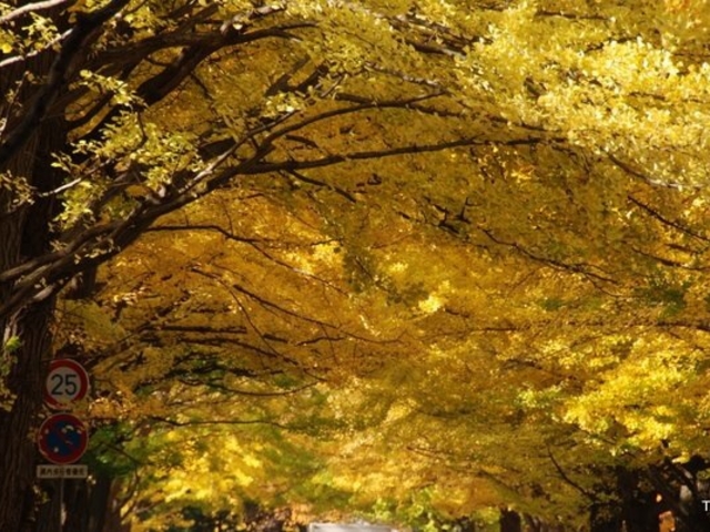 2011.11.3�B�e_�k��C�`���E����