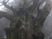 p7777777̋ʒuRQ̓eʐ^3