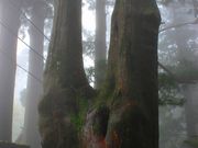 p7777777̋ʒuRQ̓eʐ^4