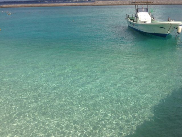 �܂�ł������̓����x�I���[���ɏ㗤�ł��܂��I_���݂Ă񂮁E�_�C�r���O�T�[�r�X