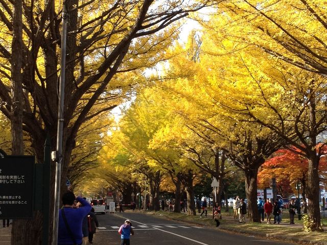 �C�`���E����_�k��C�`���E����