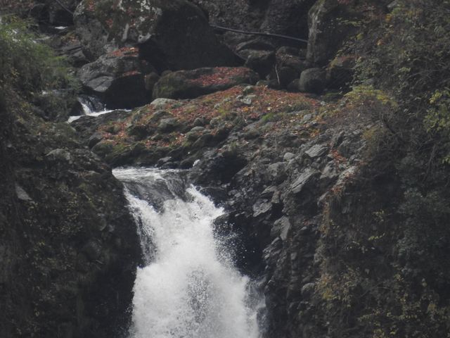 �Y�[��*3�@�U��(�j��)_�k���̑�