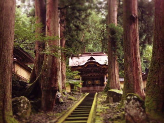 �J���~�����ゾ�����̂Ō��z�I�ł����B_�i������O�ό�����