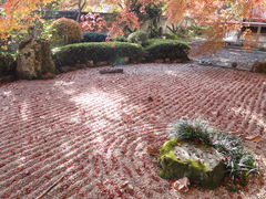 �Ă炿��񂳂�̋ʗ����ւ̓��e�ʐ^1