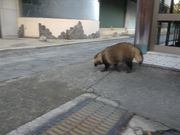 Sakamoto119̉̓eʐ^7