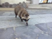 Sakamoto119̉̓eʐ^8