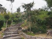 sklfh����̕��T���̓��e�ʐ^1