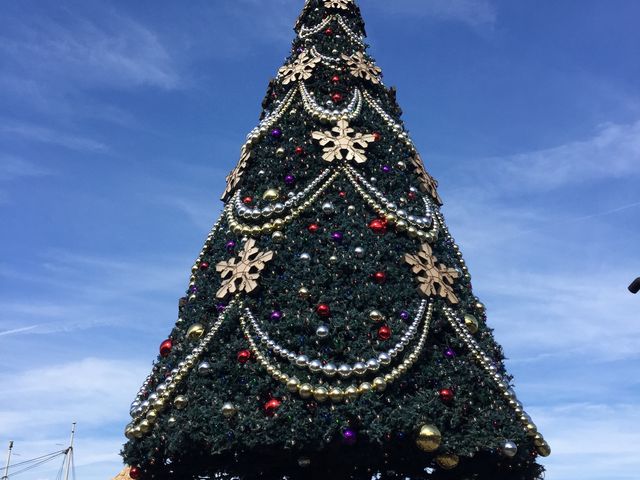 �����f�B�Y�j�[�V�[(R)