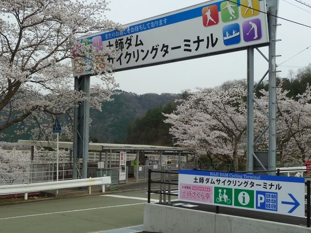 *blue*̓yt_X|[ch̓eʐ^1