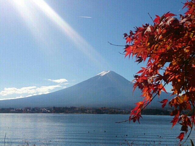 富士山（山梨県鳴沢村）