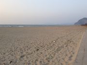 Sakamoto119̗LlC݂̓eʐ^10