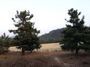 Sakamoto119̗LlC݂̓eʐ^11