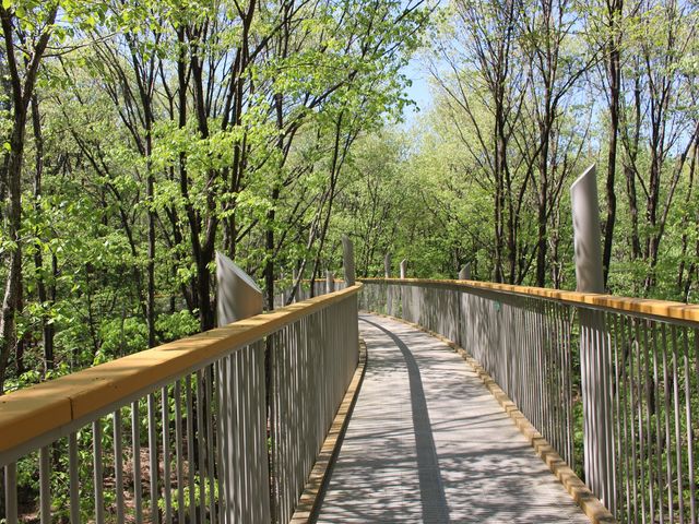 ʒuɐݒuꂽʘH_cAvXÂ݂̌@咬En@