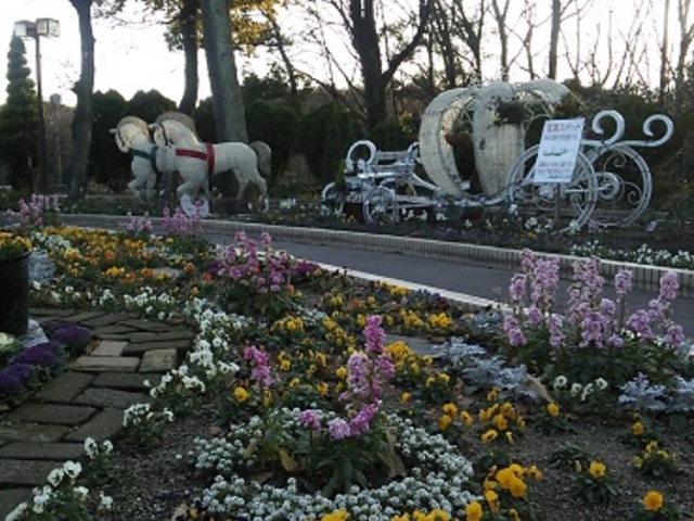 �t�����[�v���U�̉Ԓd_�������