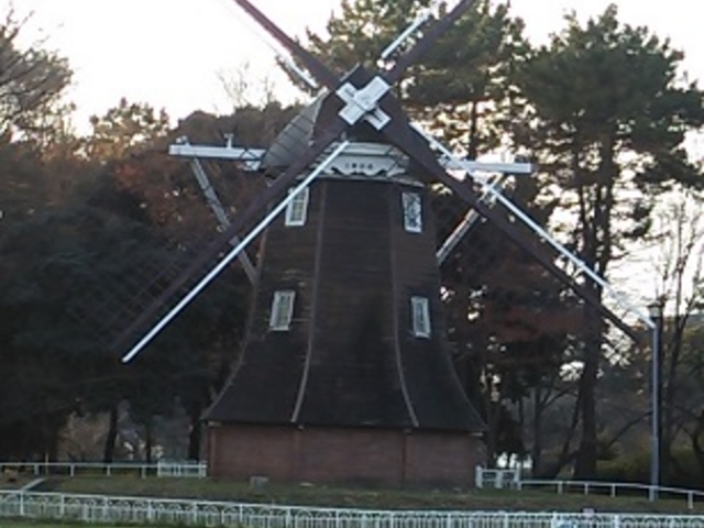 �L��̕���_�������