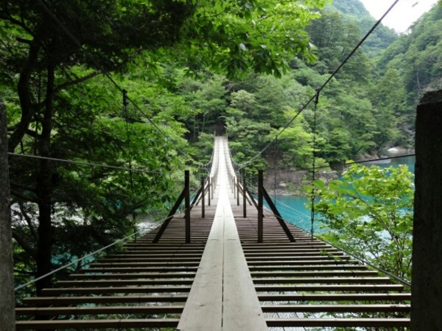 �N�����Ȃ��ƓƂ��߂ł��čō��ł�_������