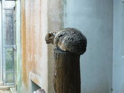 yEn/h/X̑Δn쐶یZ^[̓eʐ^2