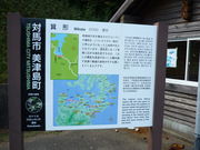 �y��E�n������/�h��/�X����������̐󊝘p�̓��e�ʐ^1