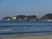 jR񂳂̍ޖ؍C̓eʐ^1