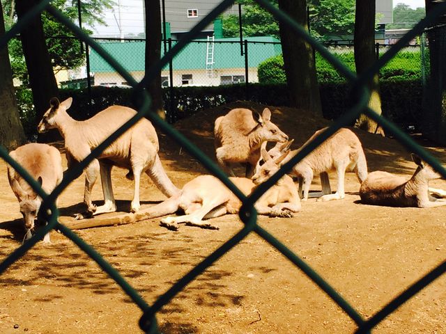 �~�R������