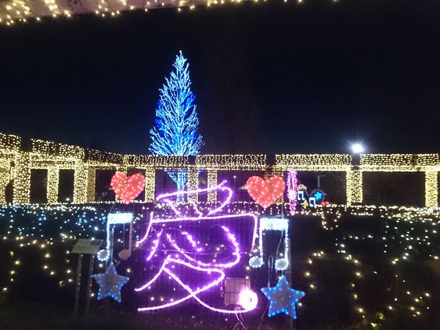 ����܃t�����[�p�[�N