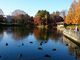 どんしゃんさんの栃木県中央公園の投稿写真1