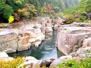 ウ̗Ր쎛i쌧㏼j̓eʐ^1