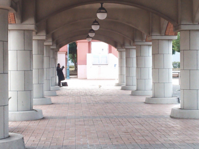 �G�X�p���X�h���[���v���U