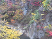 񂿂񂳂̖q̍gt̓eʐ^1