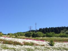 junpe����̑�掛�ւ̓��e�ʐ^1