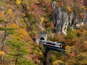 񂳂̖q̍gt̓eʐ^1