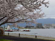 v[񂳂̐zKΔȂ̍̓eʐ^1